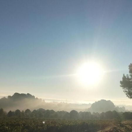 Gites A Moussan ,Domaine De La Barque A 5 Mins De Narbonne Екстер'єр фото