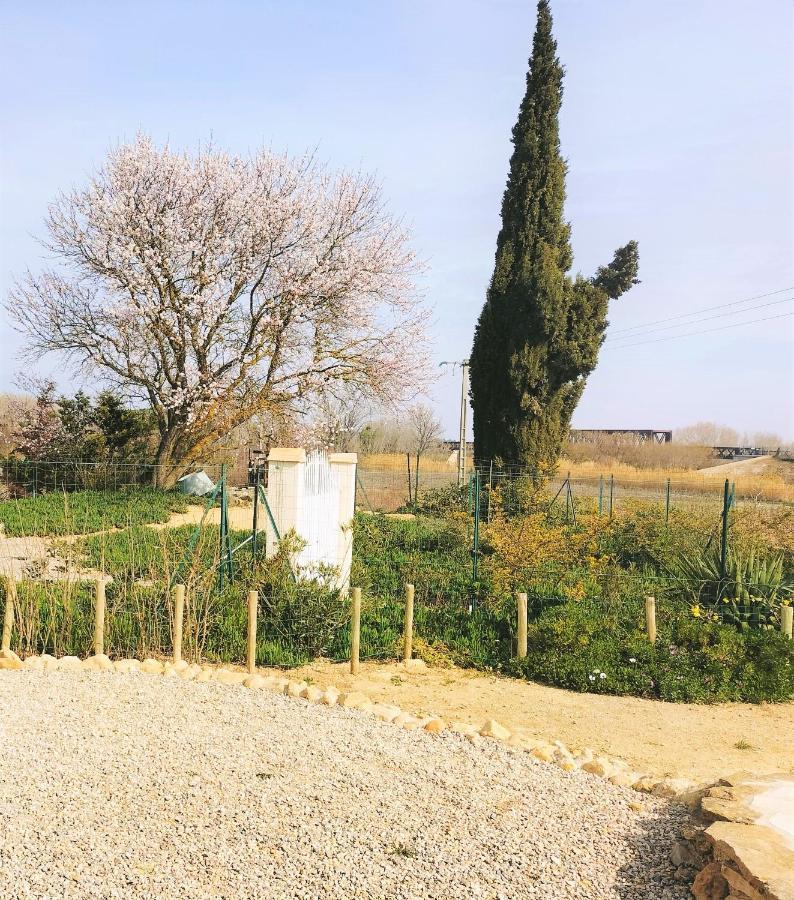 Gites A Moussan ,Domaine De La Barque A 5 Mins De Narbonne Екстер'єр фото