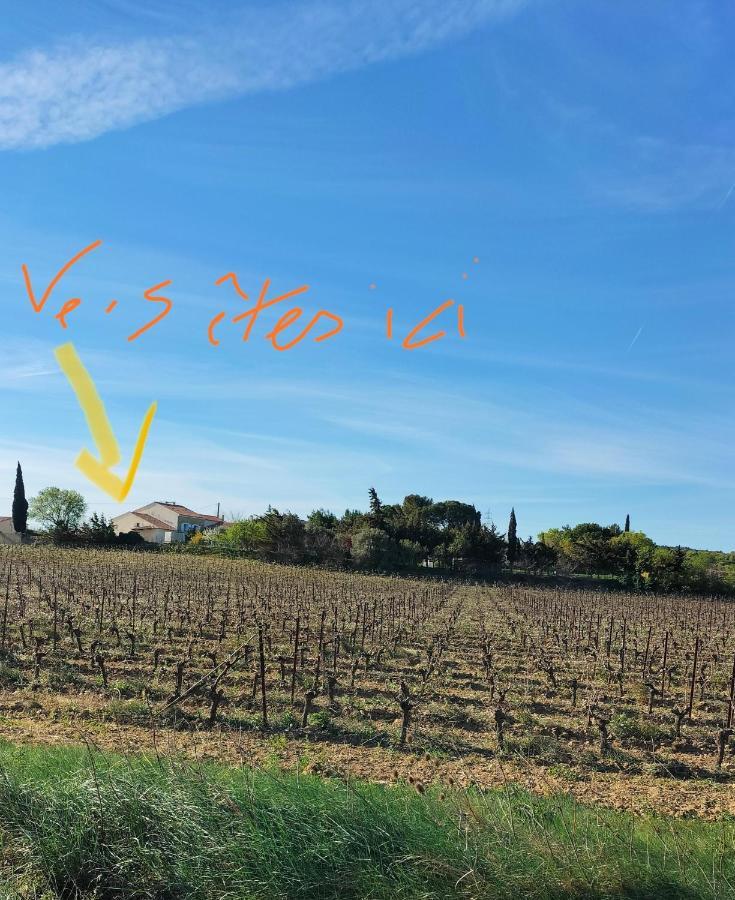 Gites A Moussan ,Domaine De La Barque A 5 Mins De Narbonne Екстер'єр фото