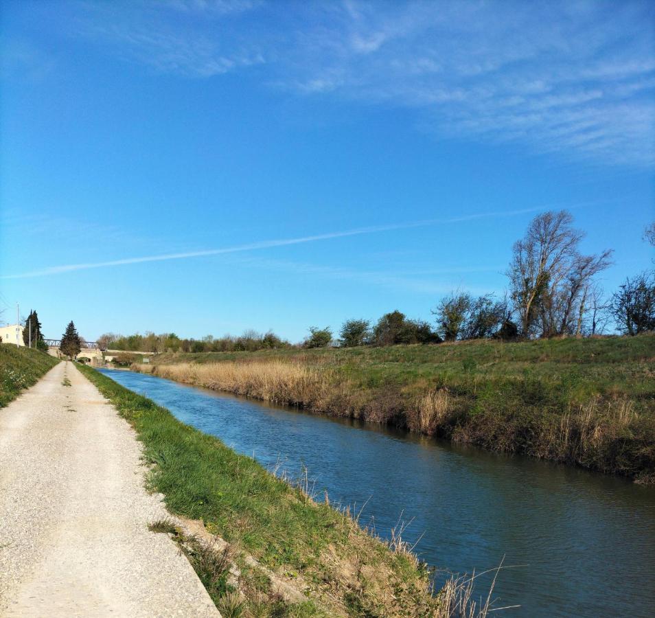 Gites A Moussan ,Domaine De La Barque A 5 Mins De Narbonne Екстер'єр фото