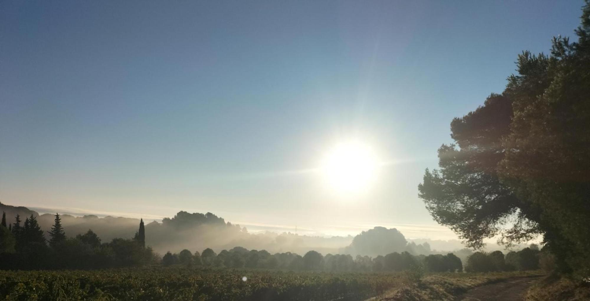 Gites A Moussan ,Domaine De La Barque A 5 Mins De Narbonne Екстер'єр фото